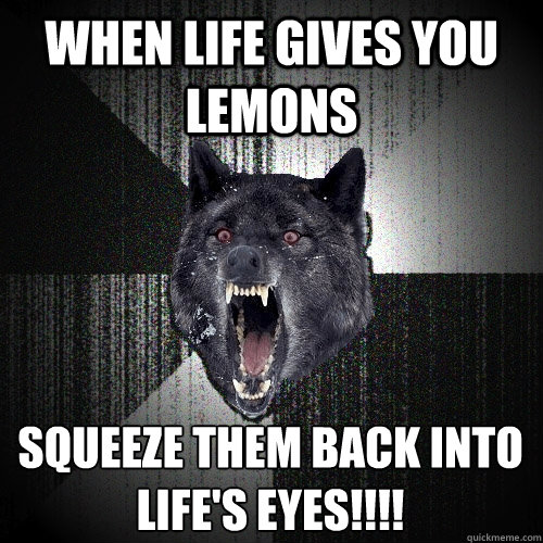 When life gives you lemons squeeze them back into life's eyes!!!!  Insanity Wolf