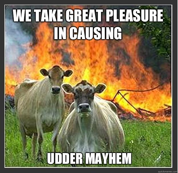 We take great pleasure in causing Udder mayhem  Evil cows