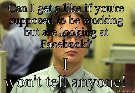 CAN I GET A LIKE IF YOU'RE SUPPOSED TO BE WORKING BUT ARE LOOKING AT FACEBOOK? I WON'T TELL ANYONE! Schrute