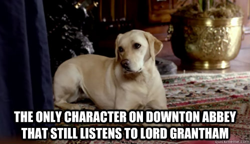 The only character on Downton Abbey that still listens to Lord Grantham - The only character on Downton Abbey that still listens to Lord Grantham  Downton Dog
