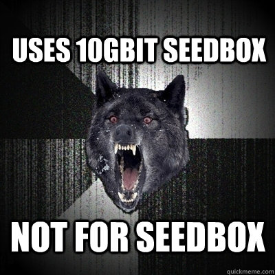 Uses 10gbit seedbox not for seedbox  Insanity Wolf