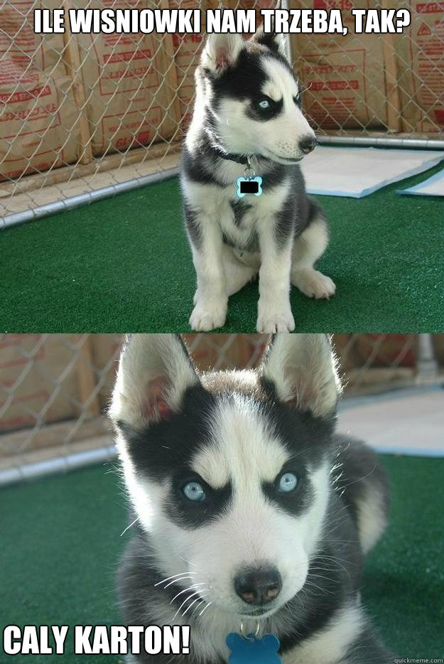 Ile wisniowki nam trzeba, tak? caly Karton!  Insanity puppy