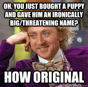 Oh, you just bought a puppy and gave him an ironically big/threatening name? how original - Oh, you just bought a puppy and gave him an ironically big/threatening name? how original  Condescending Wonka