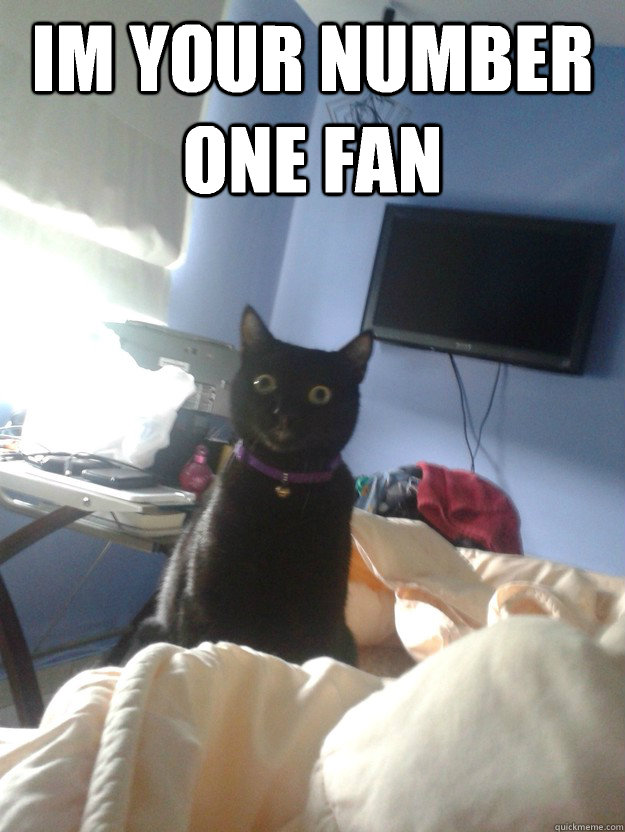 Im your number one fan  - Im your number one fan   overly attached cat
