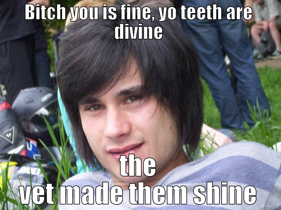 BITCH YOU IS FINE, YO TEETH ARE DIVINE THE VET MADE THEM SHINE Misc