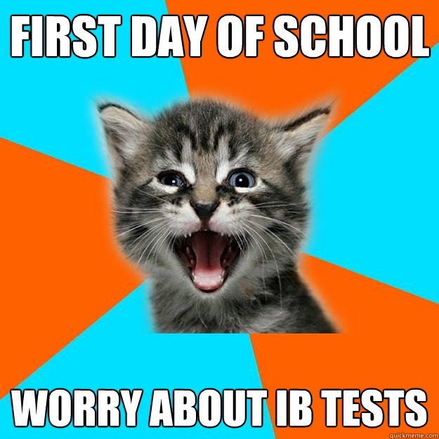 First day of school Worry about IB Tests  IB Kitten - First Day