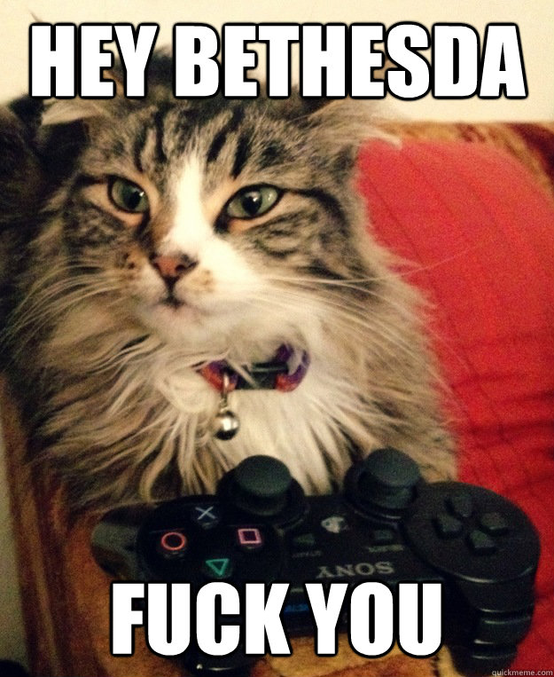 hey bethesda fuck you - hey bethesda fuck you  ps3 cat