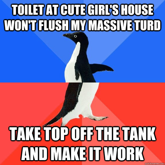 toilet at cute girl's house won't flush my massive turd take top off the tank and make it work  Socially Awkward Awesome Penguin
