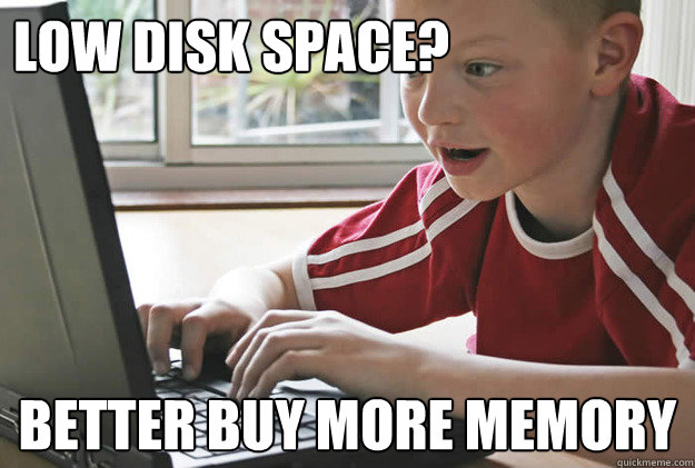 Low Disk Space? Better buy more memory  Juvenile Computer Technician