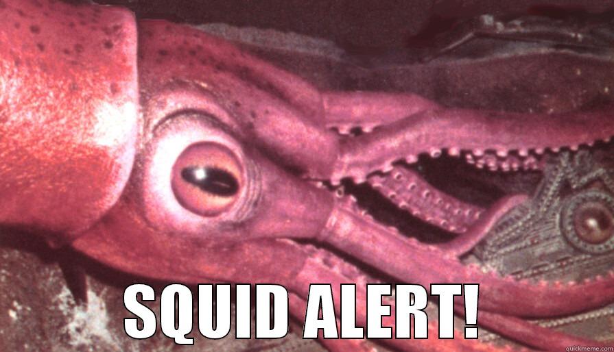  SQUID ALERT! Misc