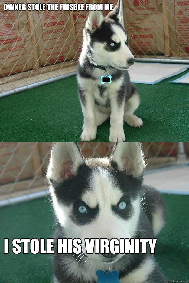 Owner stole the frisbee from me I stole his virginity  Insanity puppy