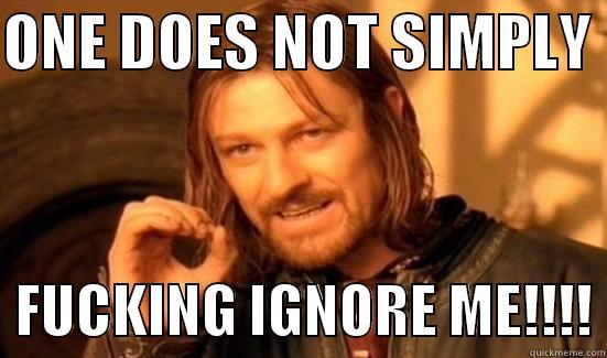 ONE DOES NOT SIMPLY    FUCKING IGNORE ME!!!! Boromir