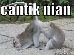 CANTIK NIAN   Misc