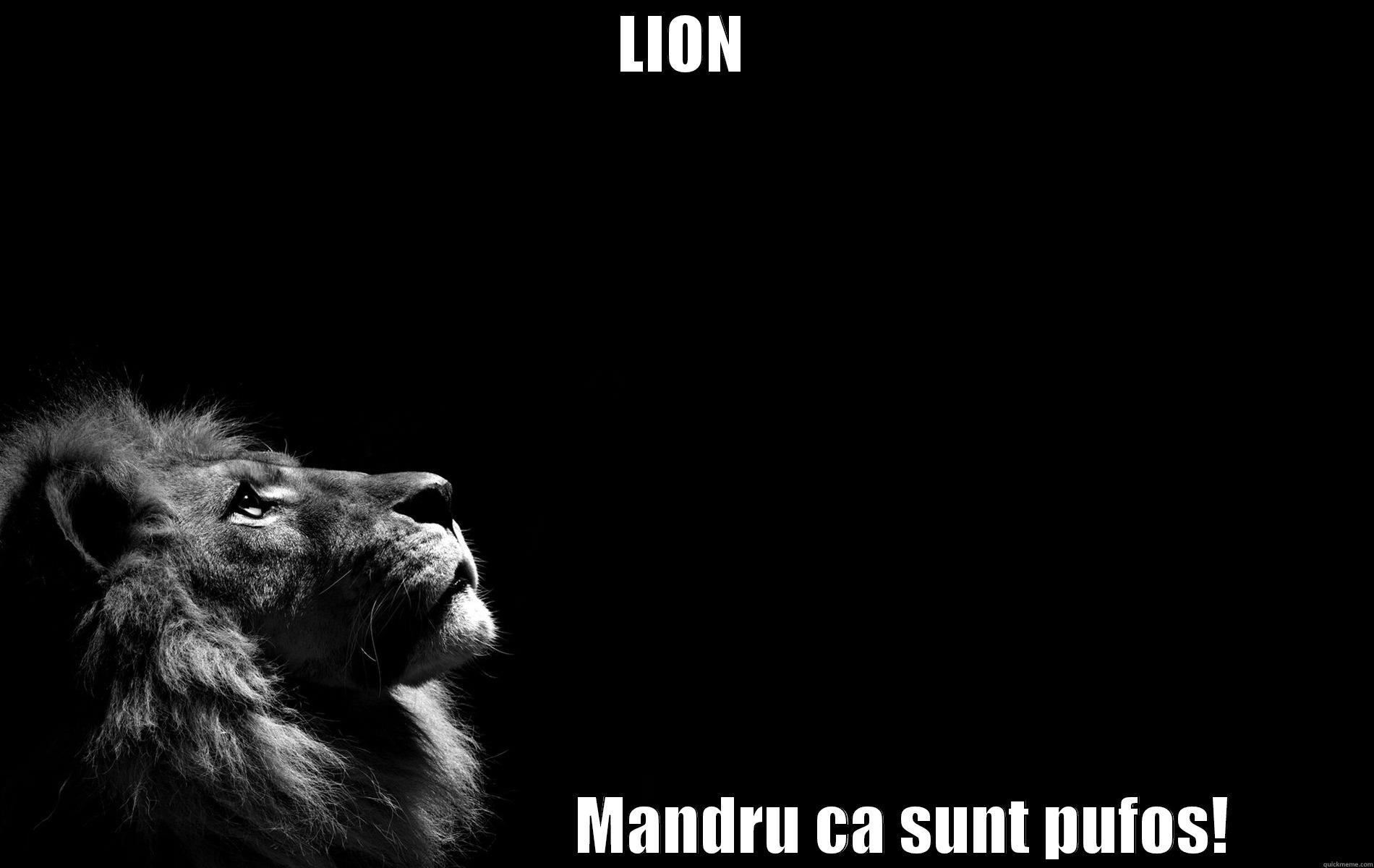LION                                   MANDRU CA SUNT PUFOS! Misc
