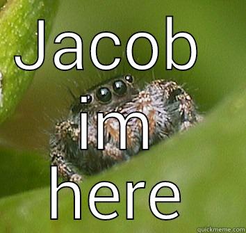 JACOB  IM HERE Misunderstood Spider