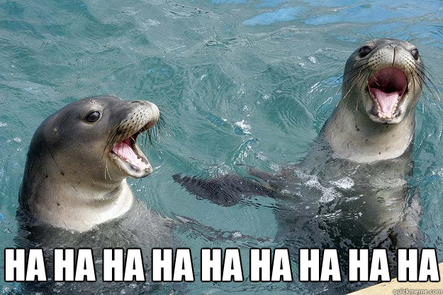HA HA HA HA HA HA HA HA HA HA HA HA  Laughing Seals