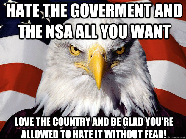 Hate the goverment and the NSA all you want Love the country and be glad you're allowed to hate it without fear!  Patriotic Eagle