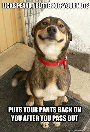licks peanut butter off your nuts Puts your pants back on you after you pass out  Good Dog Greg