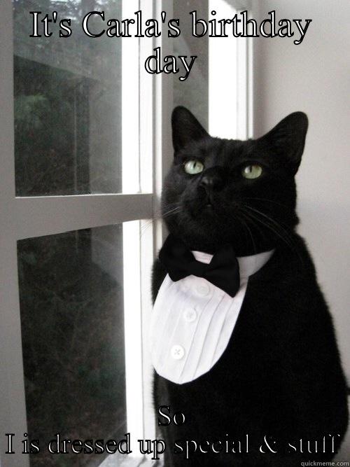 Contemplative cat says - IT'S CARLA'S BIRTHDAY DAY SO I IS DRESSED UP SPECIAL & STUFF 1% Cat