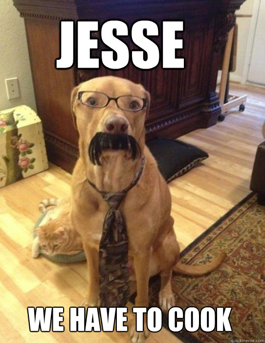 JESSE we have to cook  Breaking Bad Dog
