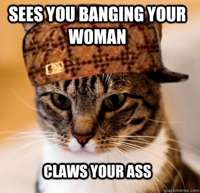 sees you banging your woman claws your ass - sees you banging your woman claws your ass  Scumbag Cat