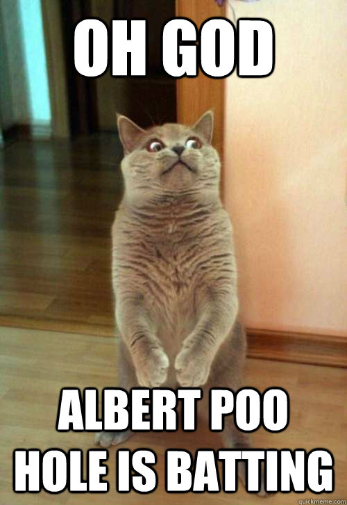 Oh god Albert Poo Hole is batting  Horrorcat