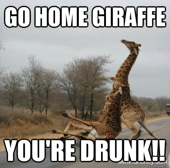 GO HOME GIRAFFE YOU'RE DRUNK!!  Graf