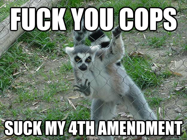 Fuck you cops suck my 4th amendment - Fuck you cops suck my 4th amendment  Libertarian Lemur