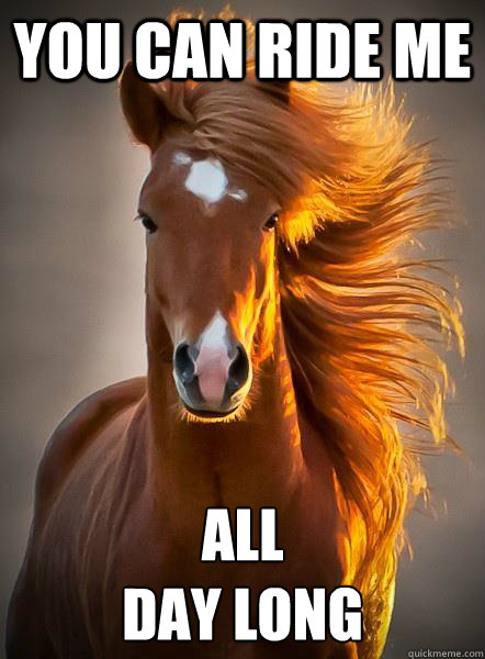 You Can Ride Me All
Day Long - You Can Ride Me All
Day Long  Ridiculously Photogenic Horse