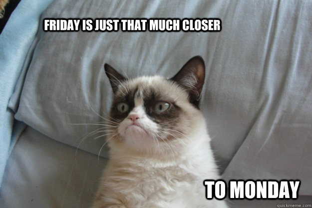         Friday is just that much closer  to monday -         Friday is just that much closer  to monday  tard grumpy cat