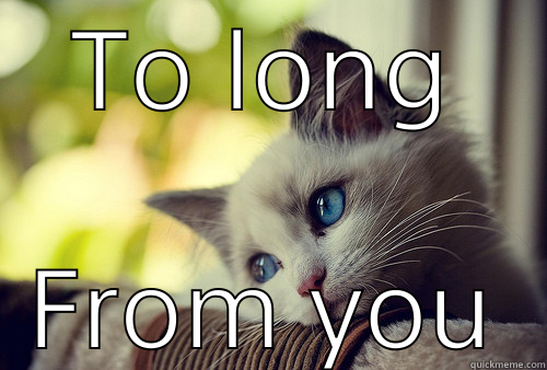 TO LONG FROM YOU First World Problems Cat