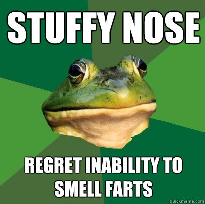 stuffy nose regret inability to smell farts  Foul Bachelor Frog