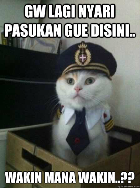 GW LAGI NYARI PASUKAN GUE DISINI.. WAKIN MANA WAKIN..??  Captain kitteh