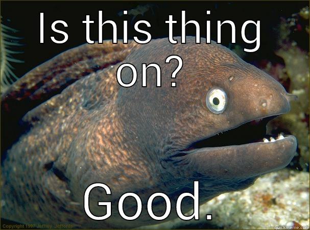 IS THIS THING ON? GOOD. Bad Joke Eel