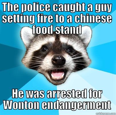 THE POLICE CAUGHT A GUY SETTING FIRE TO A CHINESE FOOD STAND HE WAS ARRESTED FOR WONTON ENDANGERMENT Lame Pun Coon
