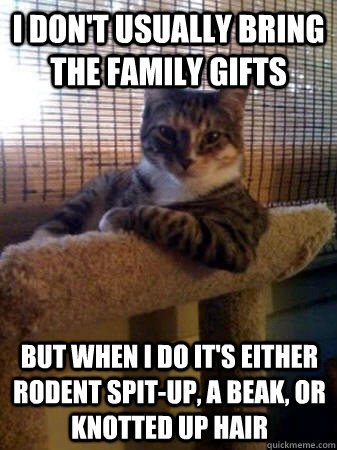i don't usually bring the family gifts but when i do it's either rodent spit-up, a beak, or knotted up hair   The Most Interesting Cat in the World