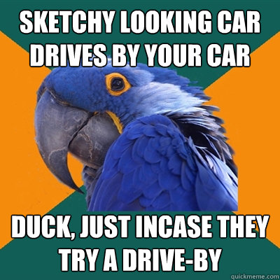 Sketchy looking car drives by your car duck, just incase they try a drive-by  Paranoid Parrot