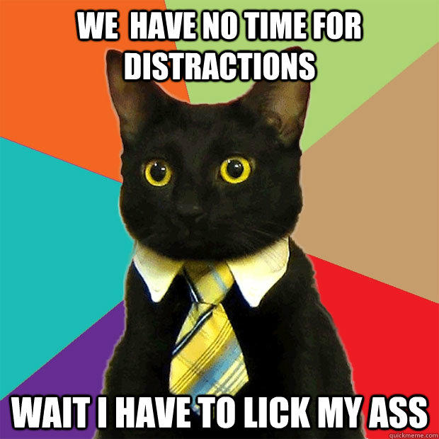 we  have no time for distractions wait i have to lick my ass  Business Cat
