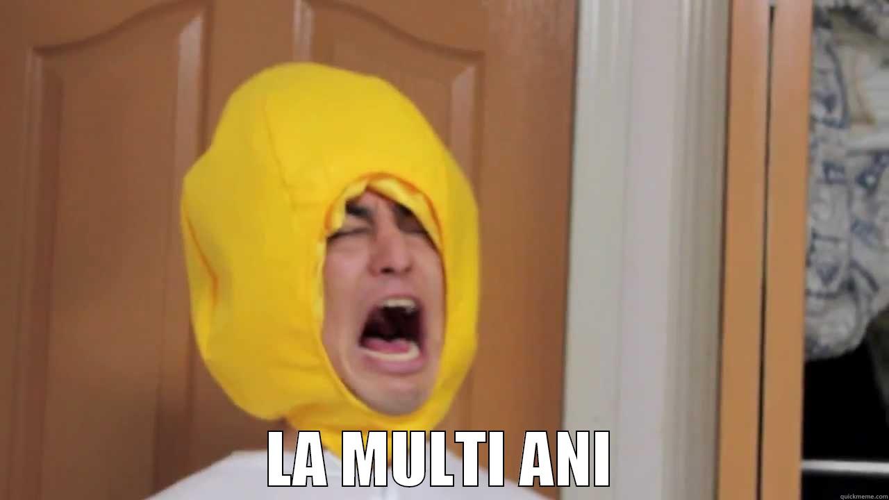  LA MULTI ANI Misc