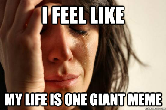I feel like My life is one giant meme - I feel like My life is one giant meme  First World Problems