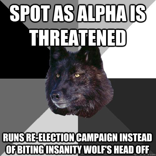 Spot as alpha is threatened  runs re-election campaign instead of biting Insanity wolf's head off - Spot as alpha is threatened  runs re-election campaign instead of biting Insanity wolf's head off  Sanity Wolf