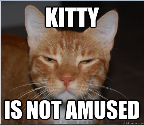 Kitty Is not amused - Kitty Is not amused  Misc