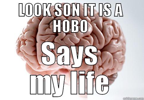 LOOK SON IT IS A HOBO SAYS MY LIFE Scumbag Brain