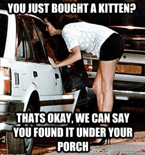 You just bought a kitten? Thats okay, we can say you found it under your porch  Karma Whore
