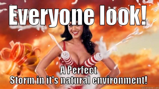 EVERYONE LOOK! A PERFECT STORM IN IT'S NATURAL ENVIRONMENT! Misc