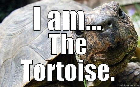 tortoise man un can - I AM... THE TORTOISE. Misc