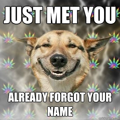 just met you already forgot your name - just met you already forgot your name  Stoner Dog