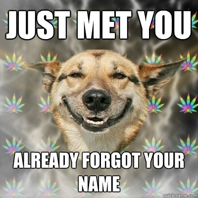 just met you already forgot your name  Stoner Dog