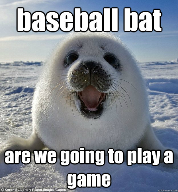 baseball bat are we going to play a game  Easily Pleased Seal