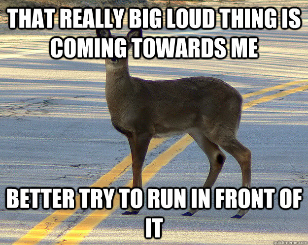 That really big loud thing is coming towards me Better try to run in front of it - That really big loud thing is coming towards me Better try to run in front of it  scumbag deer